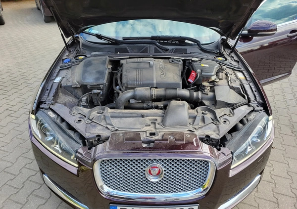 Jaguar XF cena 58000 przebieg: 125000, rok produkcji 2014 z Wrocław małe 29